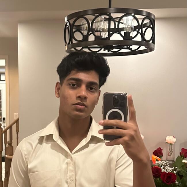 Baby-sitter in Brampton: Nakul