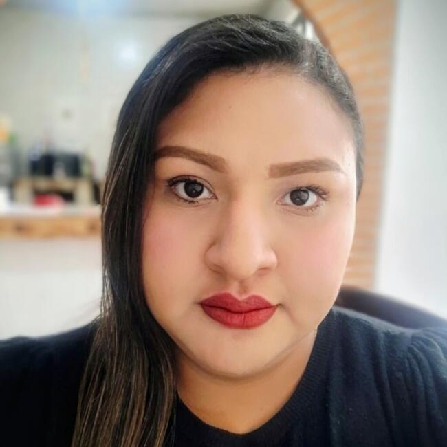 Babysitting job in Querétaro City: Nareli