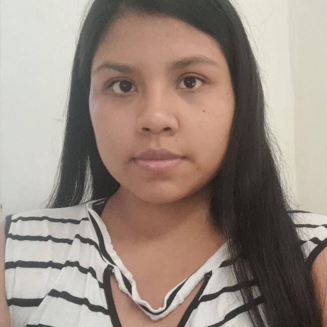 Babysitter in Armenia: Lina Fda