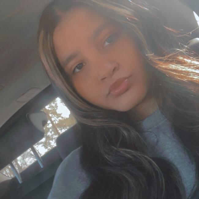 Babysitter in Elmwood Park: Irene