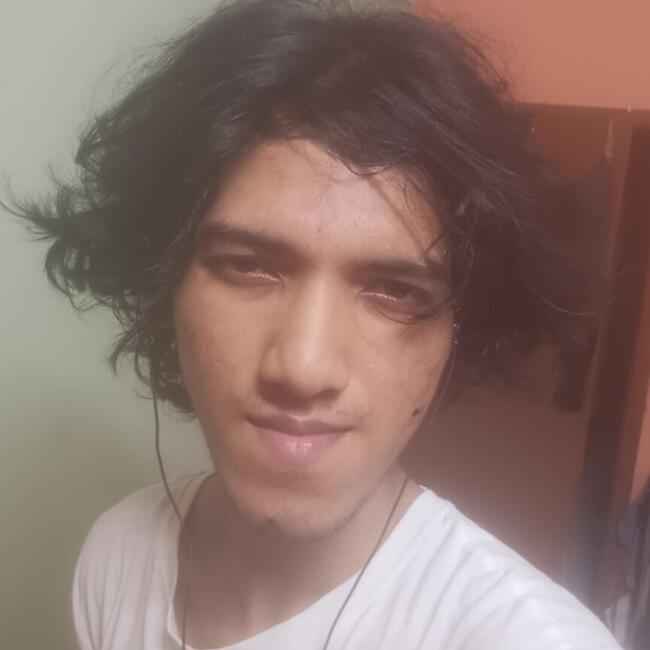 कोलकाता में बेबीसिटर: Ankit
