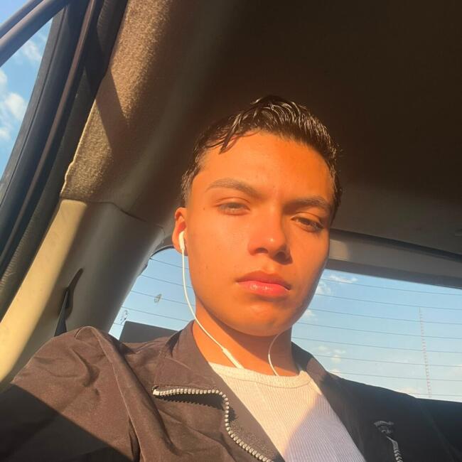 Babysitter in Aguascalientes: Odvan