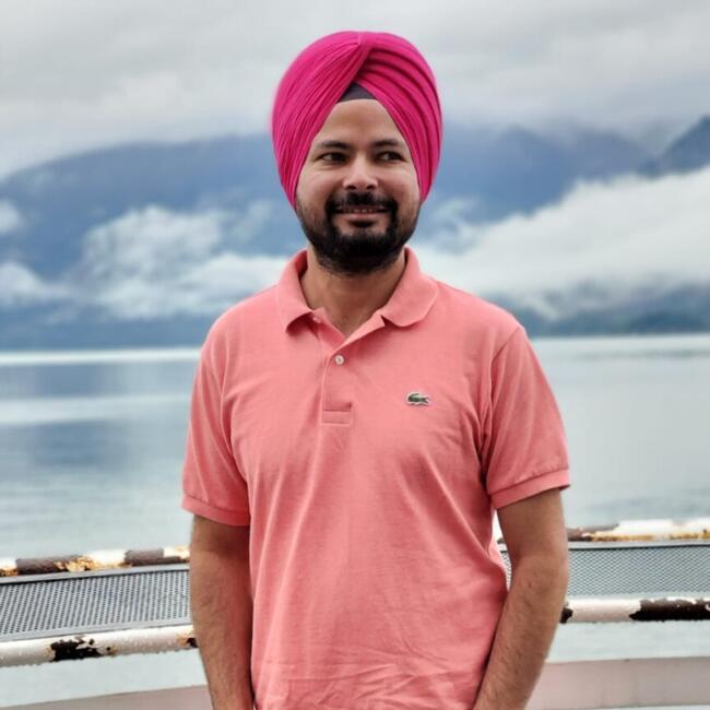 Babysitting job in Surrey: Varinder