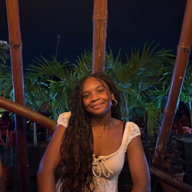 Babysitter in Acworth: Idong