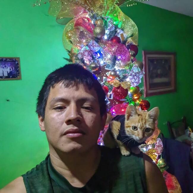 Babysitter in Guatemala City: Walter Alfredo