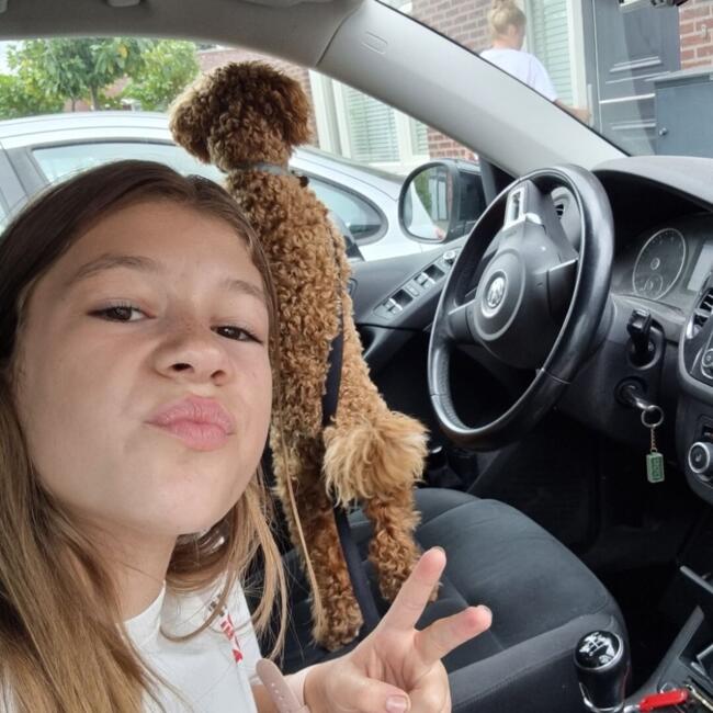 Oppas in Sint Jansteen: Judith