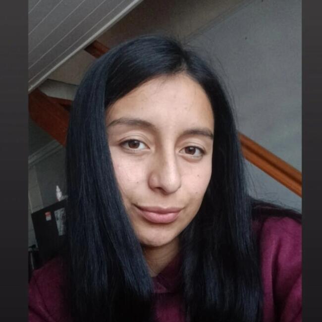 Babysitting job in Port Montt: Graciela