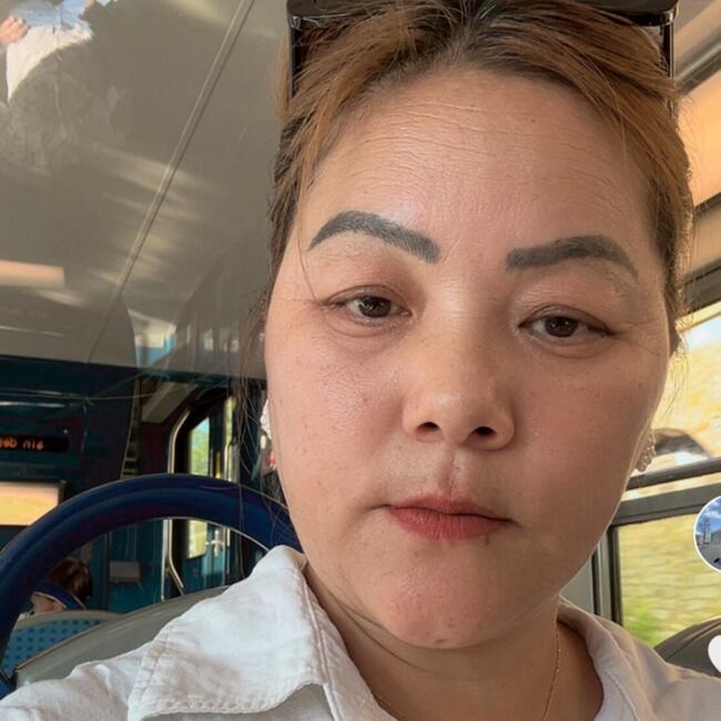 Babysitter in Saint-Germain-lès-Corbeil: Dolma