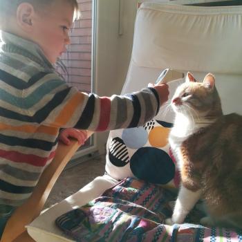 Childminder Jobs in Perugia: babysitting job Valeria