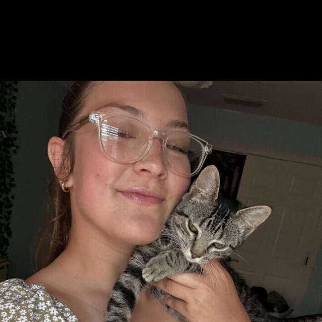 Babysitter in St. Cloud: Emerson