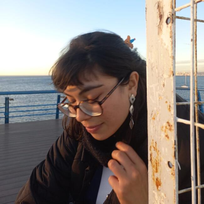 Baby-sitter in Valparaiso: Gisela Otárola