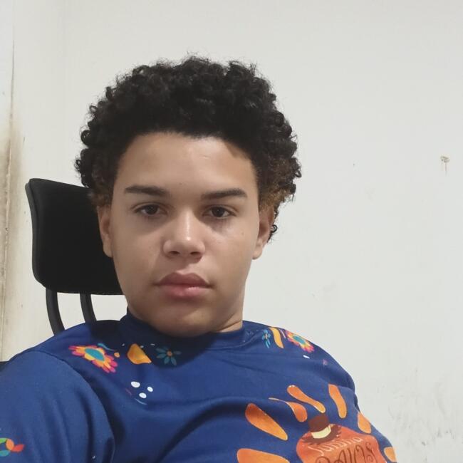 Babá em Fortaleza: Emanuel levy