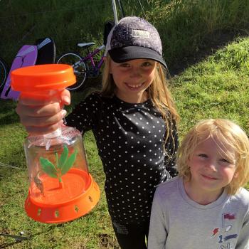 Babysitting job Te Puke: babysitting job Tom