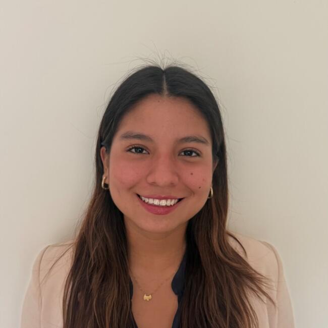Babysitter in Surco: Alejandra