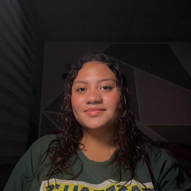 Babysitter in Arraiján: Yaremis