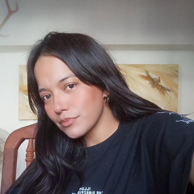 Babysitting job in Neuquén: Nil