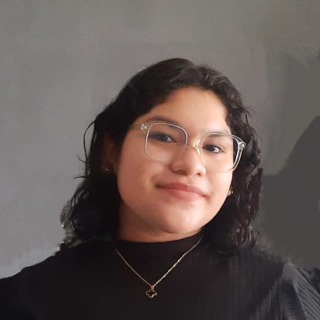 Baby-sitter in Villahermosa: Angel Yitzel