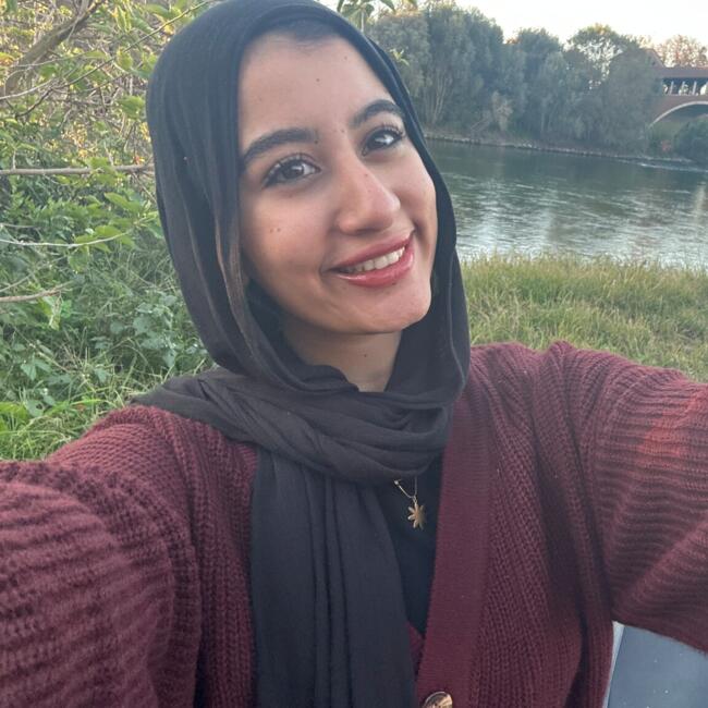 Babysitter a Saronno: Zeinab