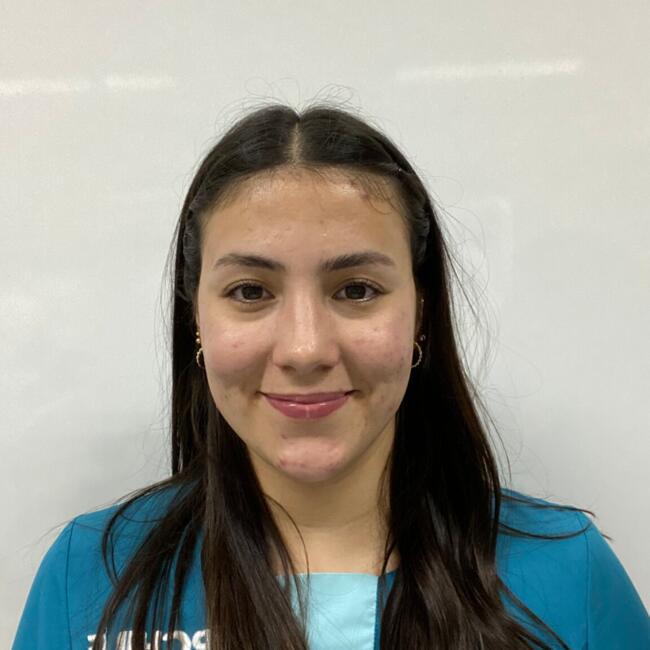 Niñera en Lo Espejo: Atais lopez rojas