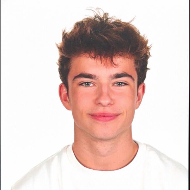 Babysitter in Zemst: Phoenix