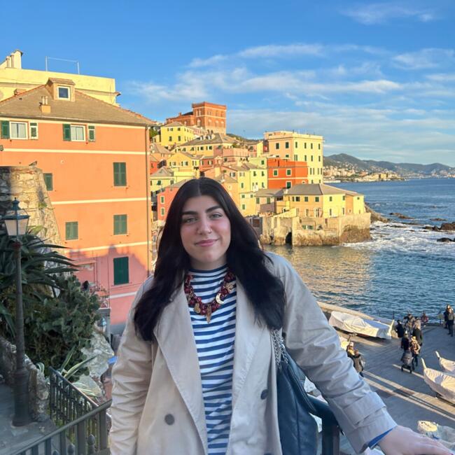 Babysitter in Miño: Noa