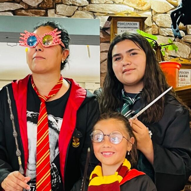 Babysitting job in La Serena: Catalina