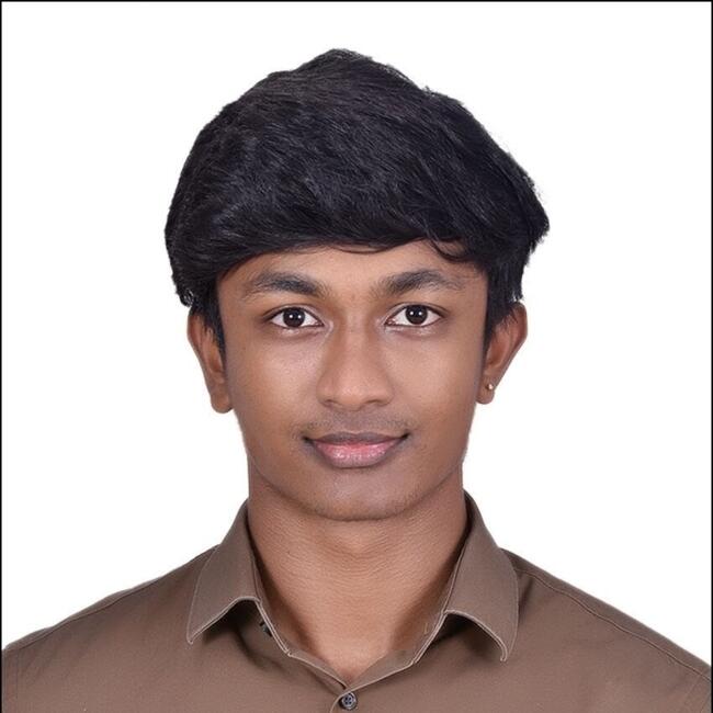 Babysitter in Dresden: Avinash