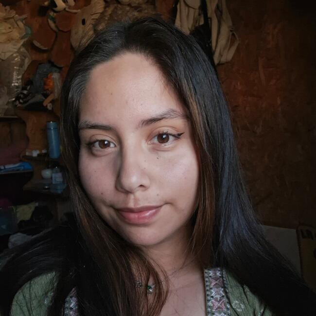 Babysitter in Osorno: Priscila