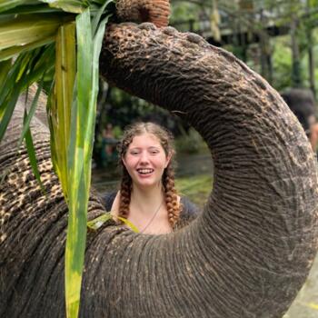 Babysitter in Sydney: Ashley