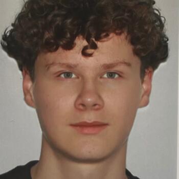 Babysitter in Lyon: Ruben