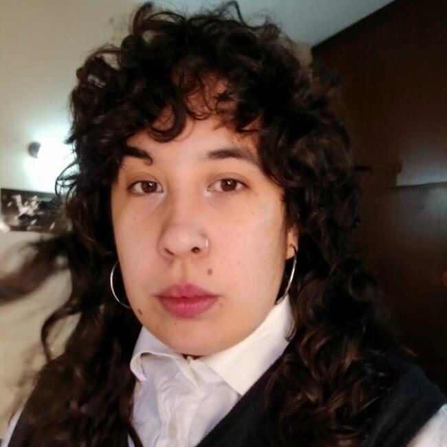 Babysitter in Florianópolis: Valentina