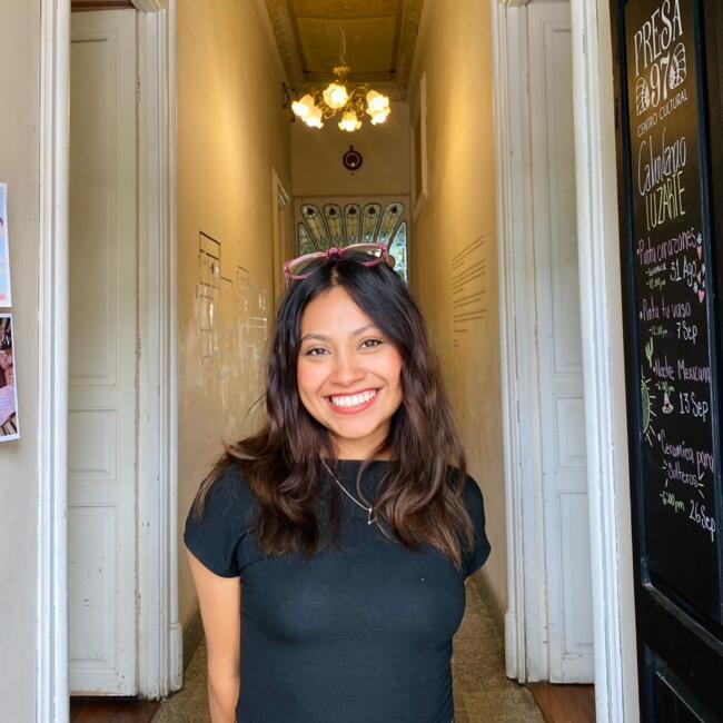 Babysitter em Odivelas: Anell