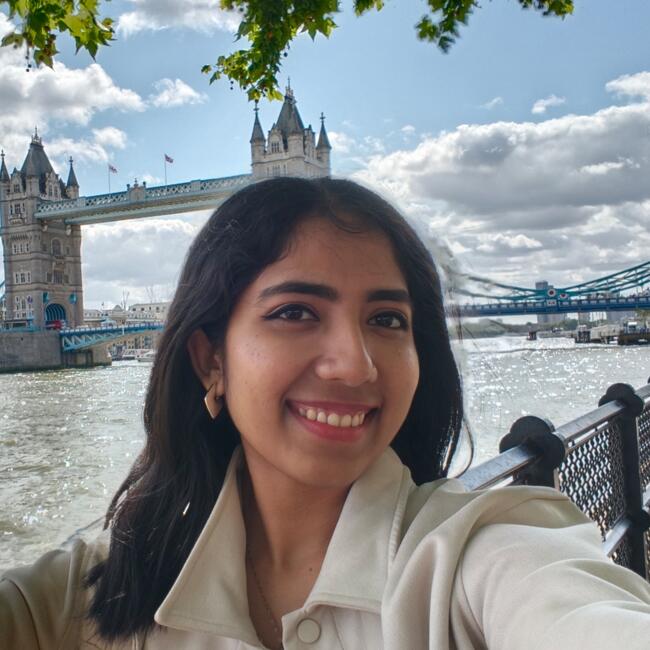 Babysitter in Cambridge: Theertha