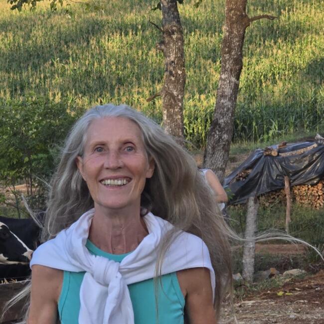 Babysitter in Jaraguá do Sul: Marise