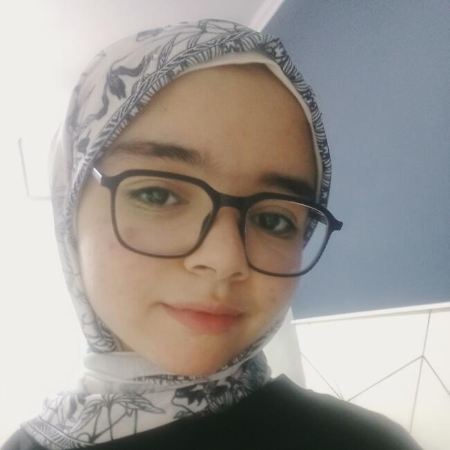 Babysitter in Cairo: Rowaida