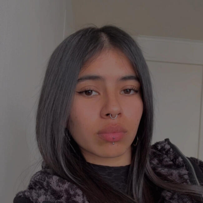 Babysitter in San Joaquín: Francisca