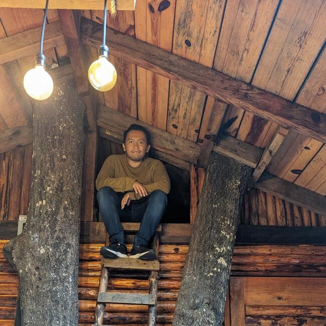 Babysitting job in Puebla City: Victor Hugo Herrera Soto