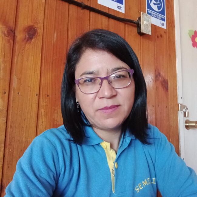 Babysitter in Los Andes: Mónica