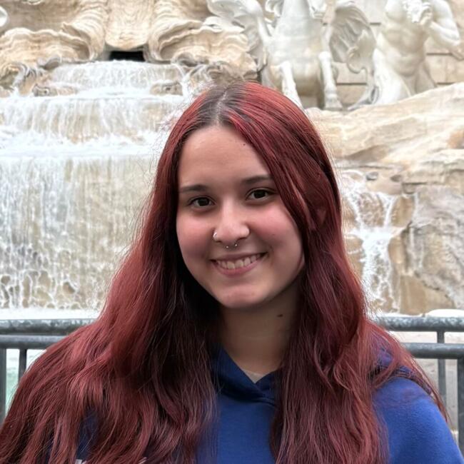 Babysitter in Ovar: Lara