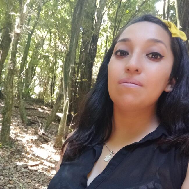 Babysitter in Tocopilla: Giannina