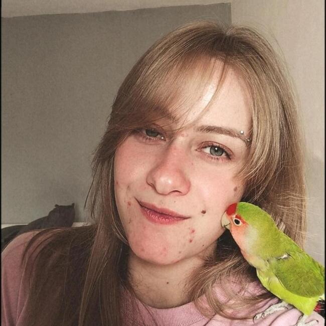 Babysitter in Santo André: Heloisa