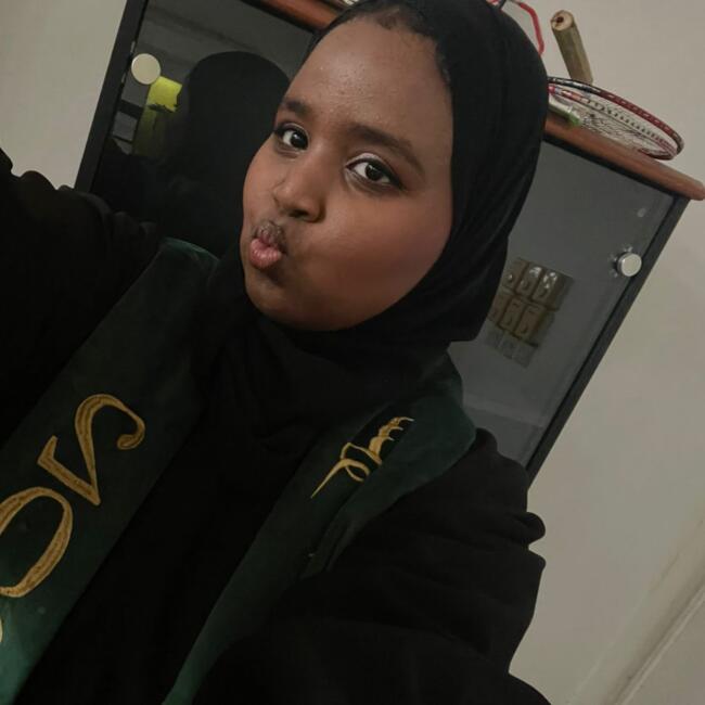 Babysitter in Ajman: سلامة