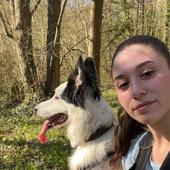 Babysitter in Nogent-sur-Oise: Romane