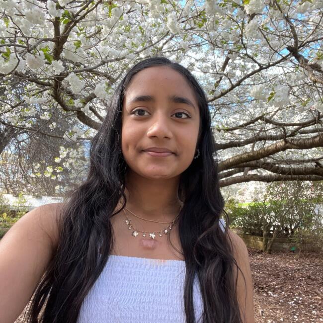 Babysitter in Ashburton: SanuthiSunny