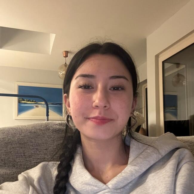 Babysitter in Greystones: Sura