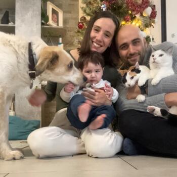 Babysitting job in Poirino: babysitting job Gaetano