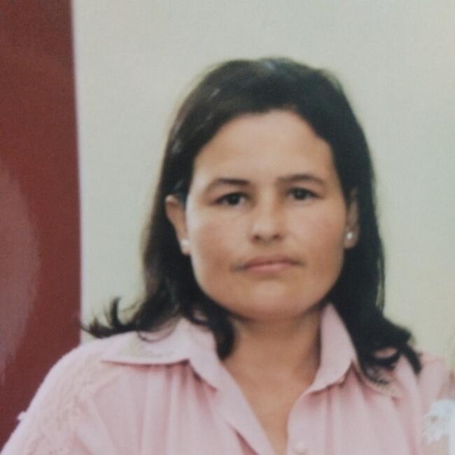 Babysitter in Ponta Grossa: Jussara
