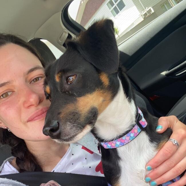 Babysitter in Lower Hutt: Maria