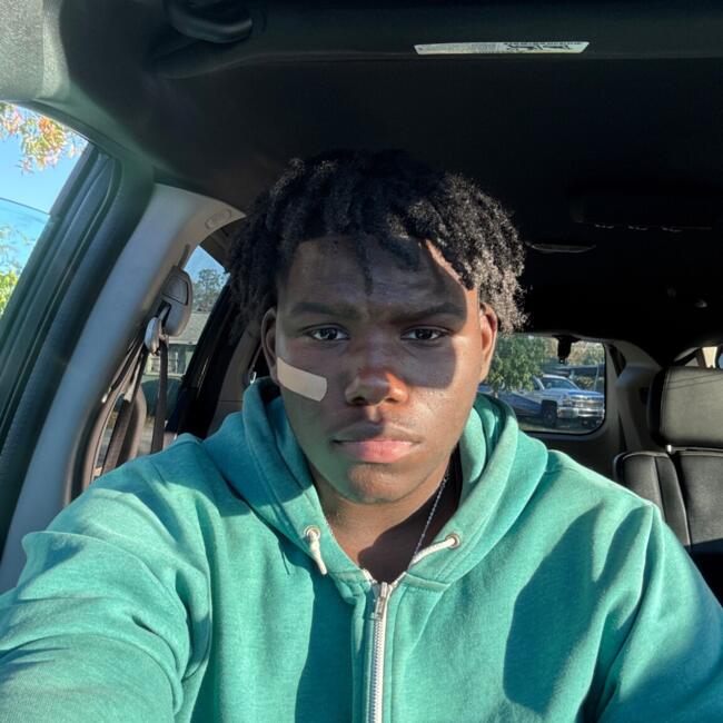 Babysitter in Bradenton: Elijah