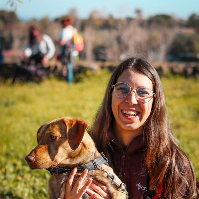 Babysitter in Barreiro: Inês